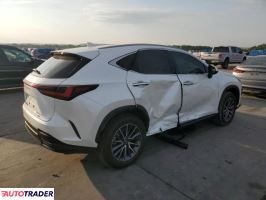 Lexus NX 2024 2