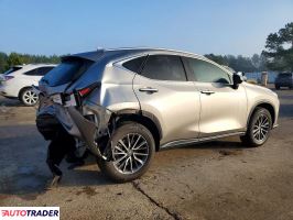 Lexus NX 2025 2