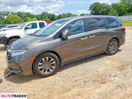 Honda Odyssey - zobacz ofertę