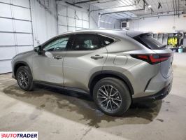 Lexus NX 2025 2 Lexus NX 2025 2
