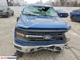 Ford Pozostałe 2024 5