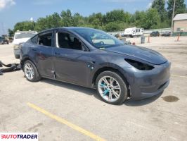 Tesla Model Y 2021 Tesla Model Y 2021