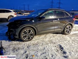 Ford Escape - zobacz ofertę