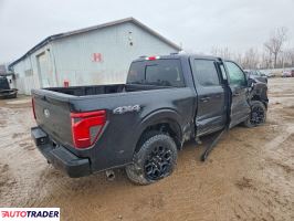 Ford Pozostałe 2024 3