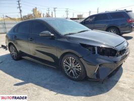 Kia Pozostałe 2024 2