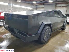 Tesla Pozostałe 2024