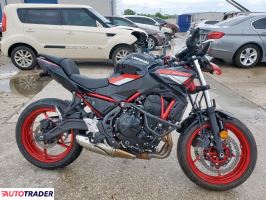 Kawasaki Z 2024