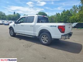 Ford Pozostałe 2024 2