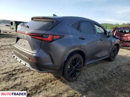 Lexus NX 2024 2