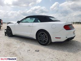 Ford Mustang 2019 2