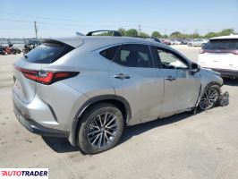 Lexus NX 2024 2