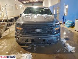 Ford Pozostałe 2024 2