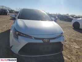 Toyota Corolla 2020 1