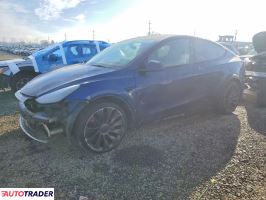 Tesla Model Y 2025