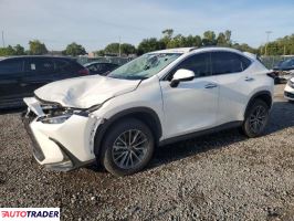 Lexus NX 2024 2