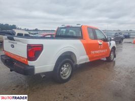 Ford Pozostałe 2024 2