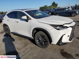 Lexus NX 2024 2