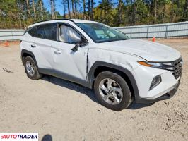 Hyundai Tucson 2024 2