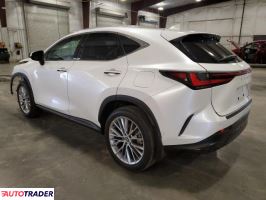 Lexus NX 2024 2 Lexus NX 2024 2