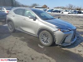Lexus NX 2024 2