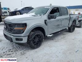 Ford Pozostałe 2024 2 Ford Pozostałe 2024 2