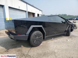 Tesla Pozostałe 2024 Tesla Pozostałe 2024