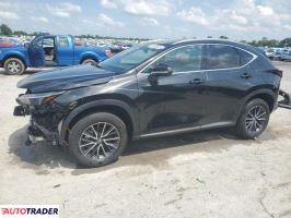 Lexus NX 2024 2