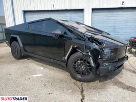 Tesla Pozostałe 2024 Tesla Pozostałe 2024