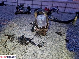 Kawasaki Pozostałe 2025