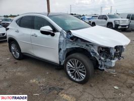 Lexus NX 2024 2 Lexus NX 2024 2