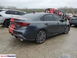 Kia Pozostałe 2024 1