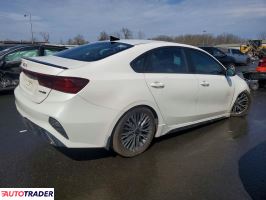 Kia Pozostałe 2024 2