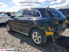 Audi Q5 2024 2