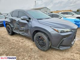 Lexus NX 2024 2