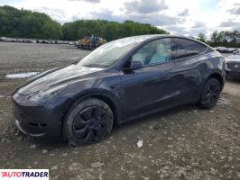 Tesla Model Y 2025