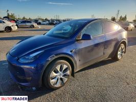 Tesla Model Y - zobacz ofertę