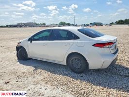 Toyota Corolla 2024 2