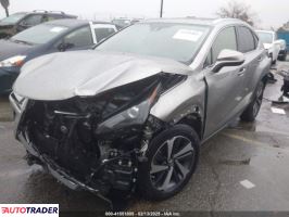 Lexus NX 2021 2 Lexus NX 2021 2
