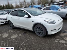 Tesla Model Y 2021 Tesla Model Y 2021
