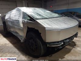 Tesla Pozostałe 2024