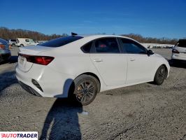 Kia Pozostałe 2024 2