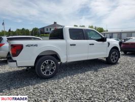 Ford Pozostałe 2024 2