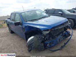 Ford Pozostałe 2024 2