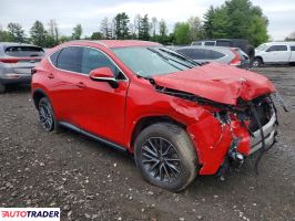 Lexus NX 2024 2