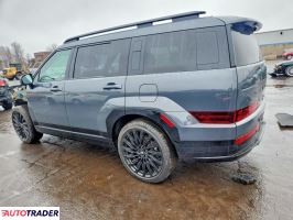 Hyundai Santa Fe 2024 2