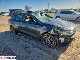 Kia Pozostałe 2021 1