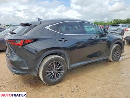 Lexus NX 2024 2