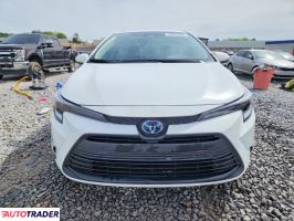 Toyota Corolla 2025 1