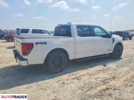 Ford Pozostałe 2024 3