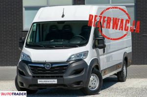 Opel Movano - zobacz ofertę